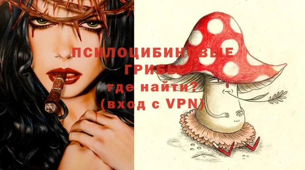 мдпв Лагань