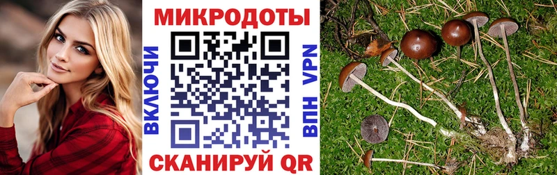 Галлюциногенные грибы мицелий  OMG ССЫЛКА  Кемерово 