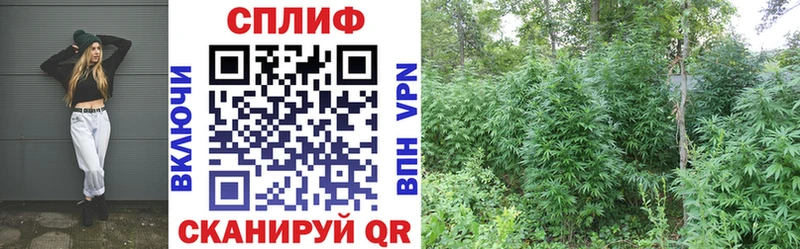 Шишки марихуана индика Кемерово